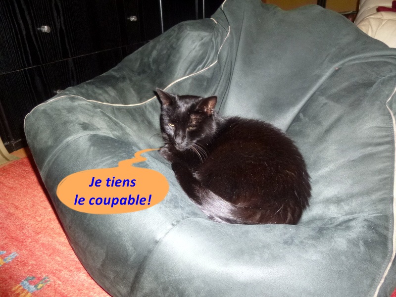 Hebergeur d'image
