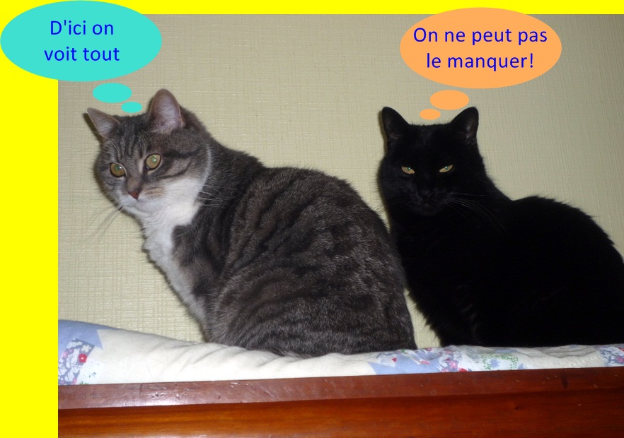 Hebergeur d'image