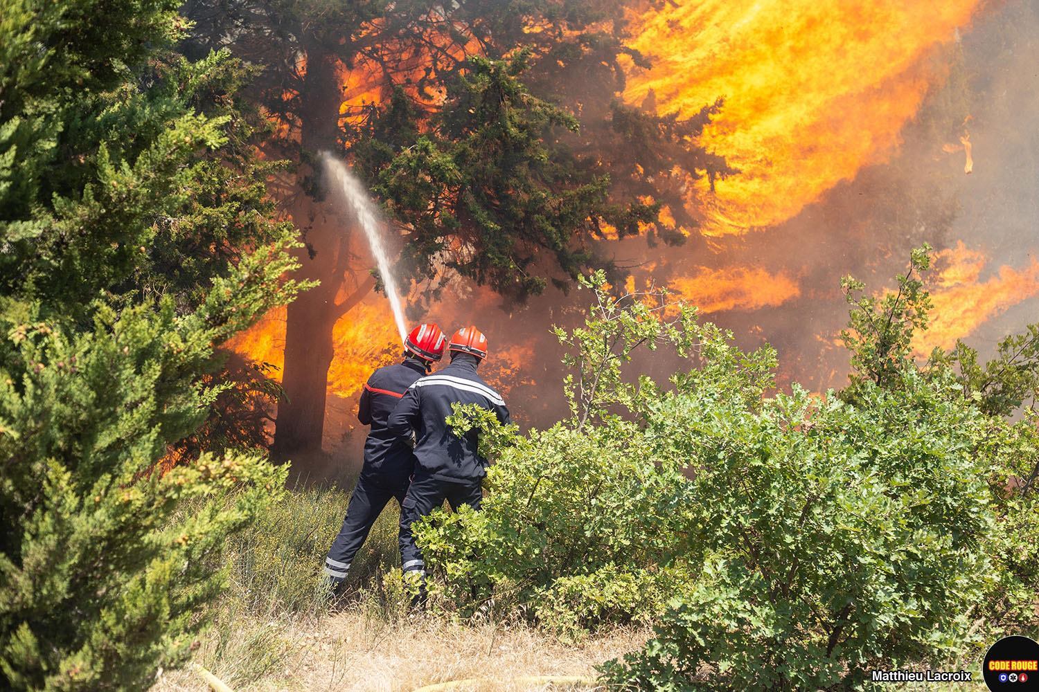 eux sapeurs-pompiers, de dos, luttent contre les flammes qui dévorent la végétation face à eux