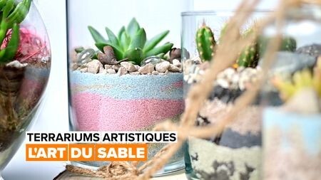 Des terrariums artistiques