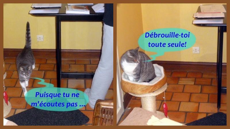 Hebergeur d'image