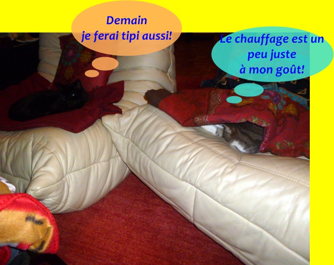 Hebergeur d'image