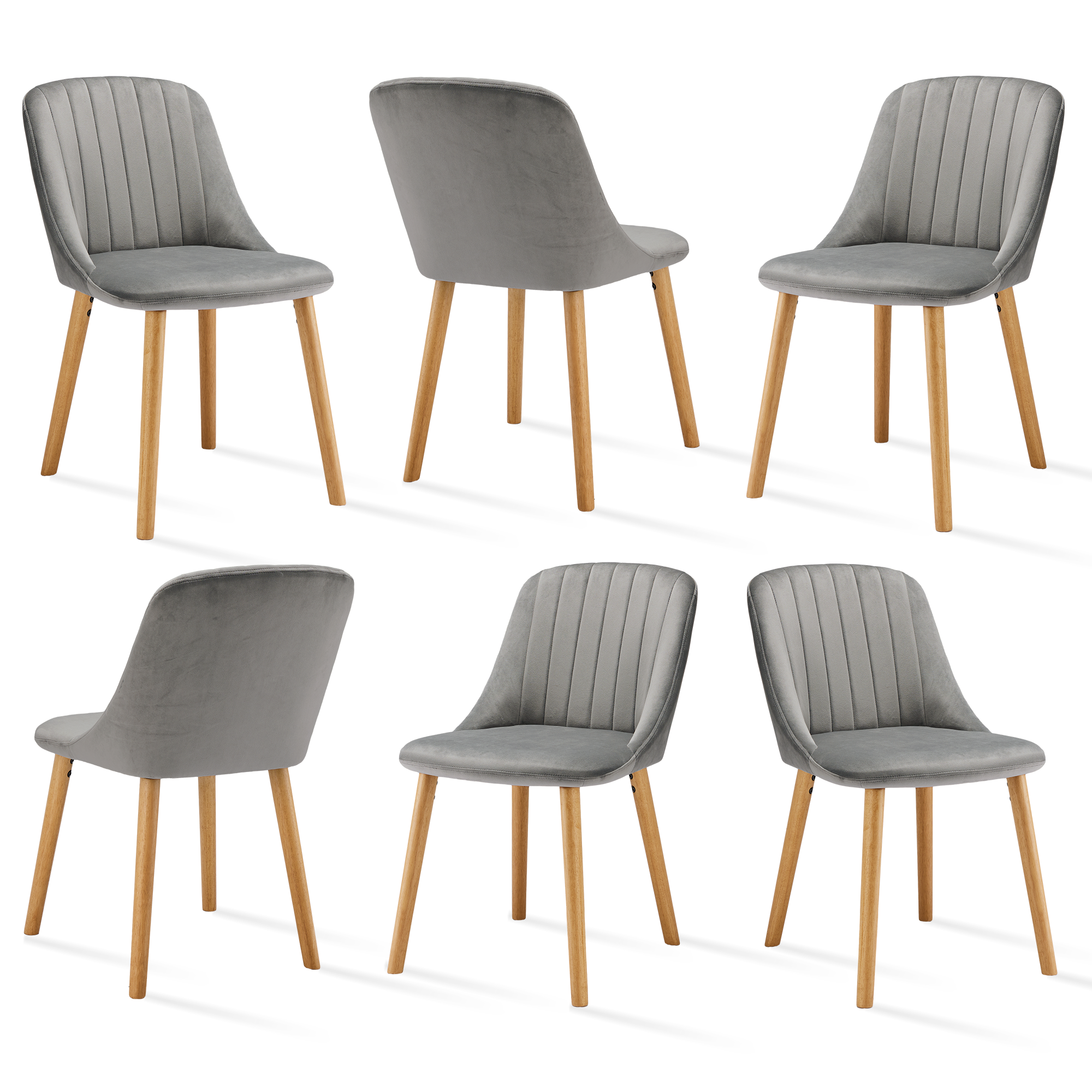 Multi-Angle View