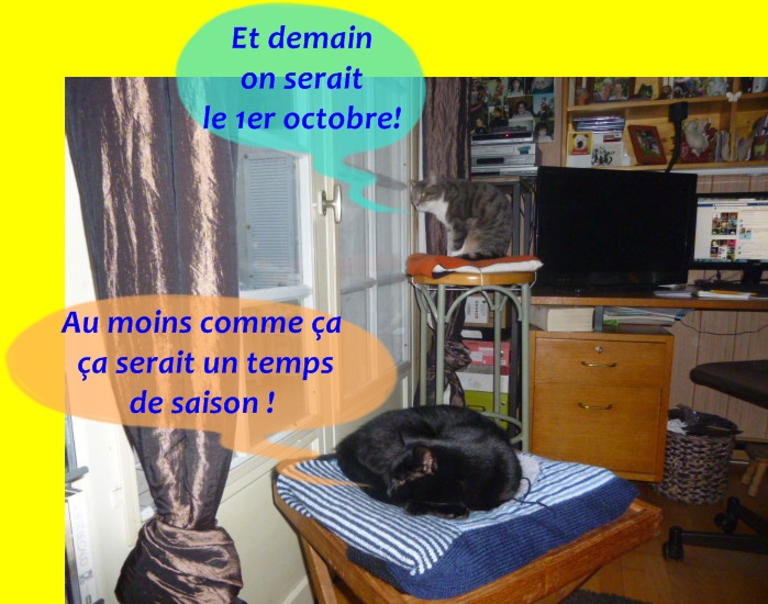 Hebergeur d'image