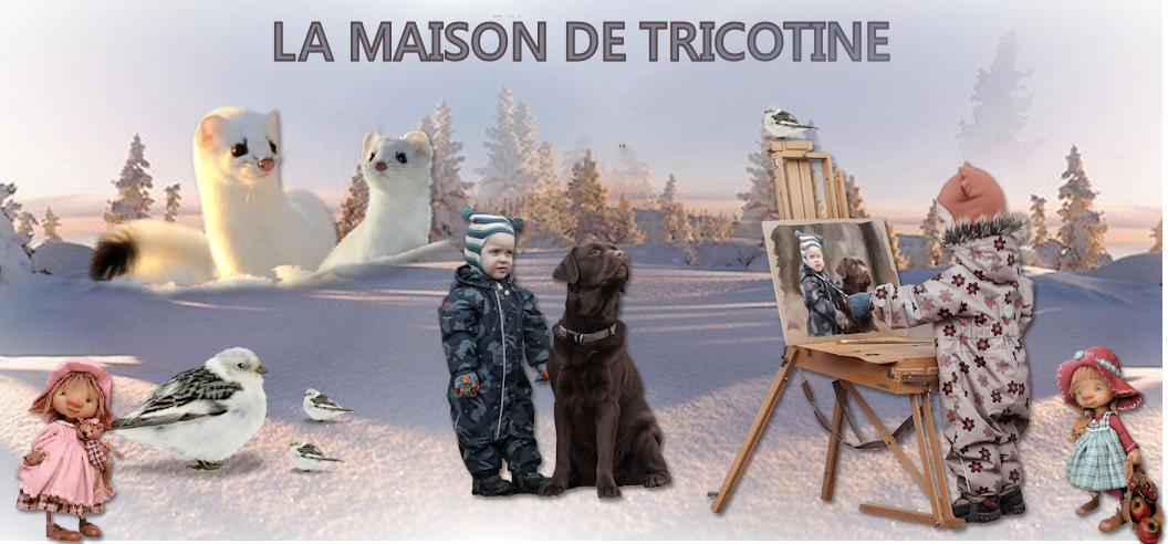 LE PETIT MONDE DE TRICOTINE