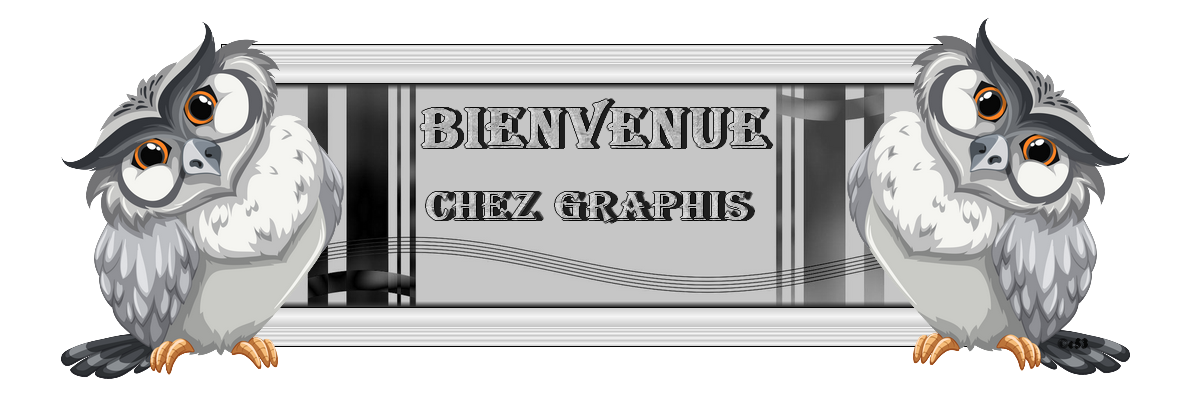 LE MONDE DE YAVANNA