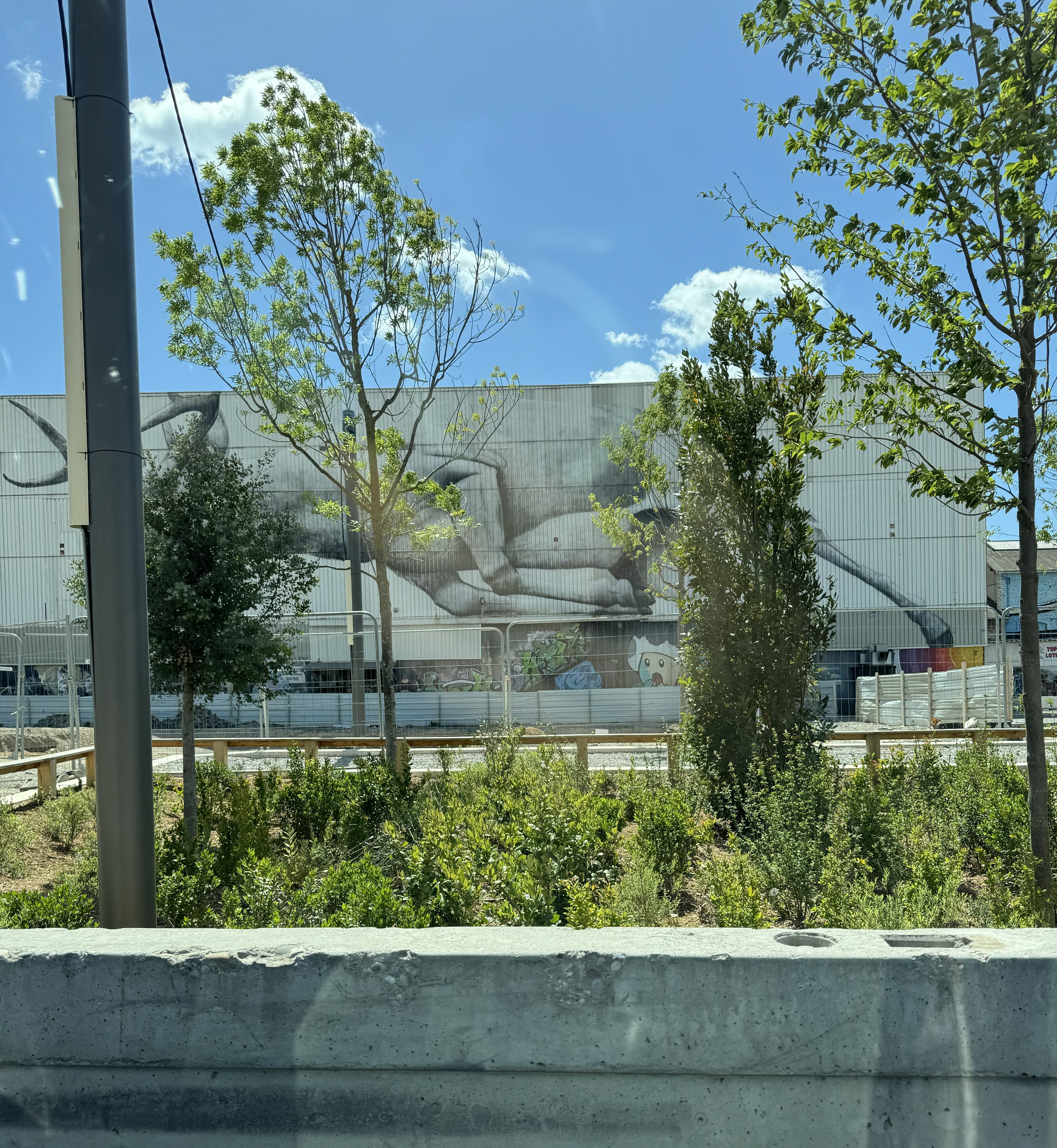 https://i.goopics.net/53p4d2.jpg