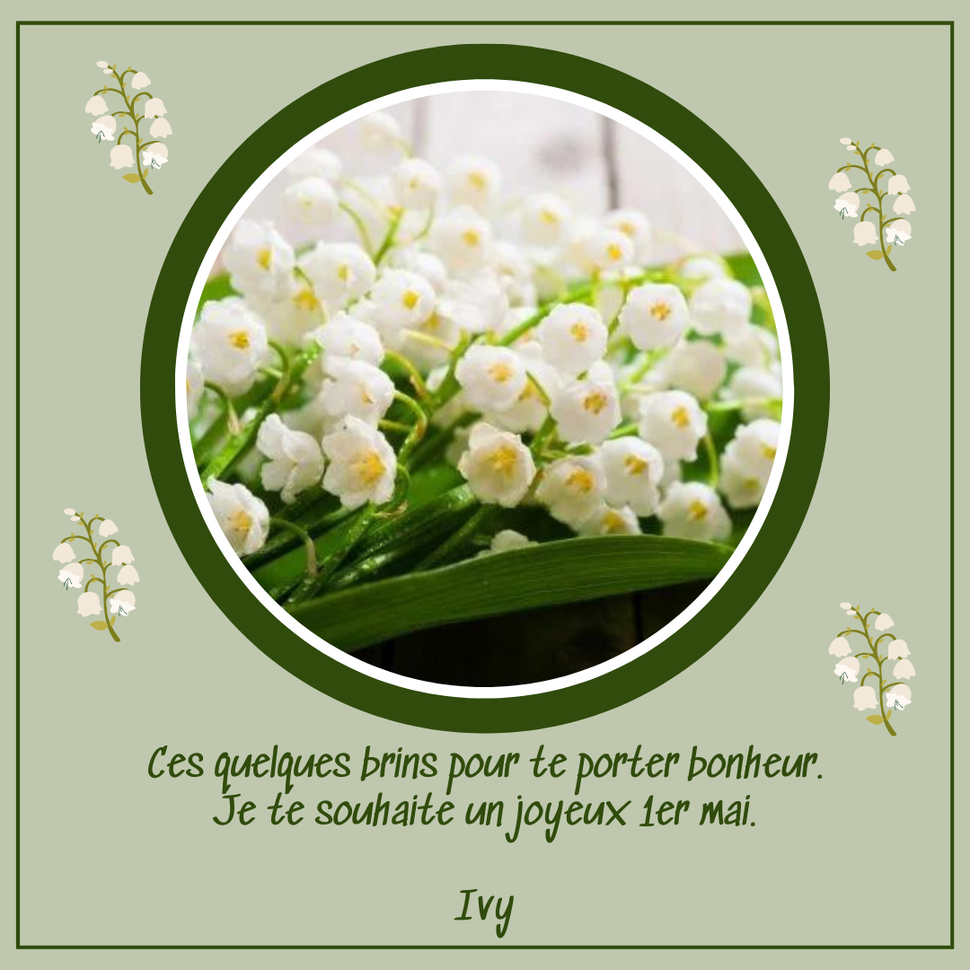 https://i.goopics.net/5jqypj.png