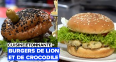 Des burgers au lion et au crocodile