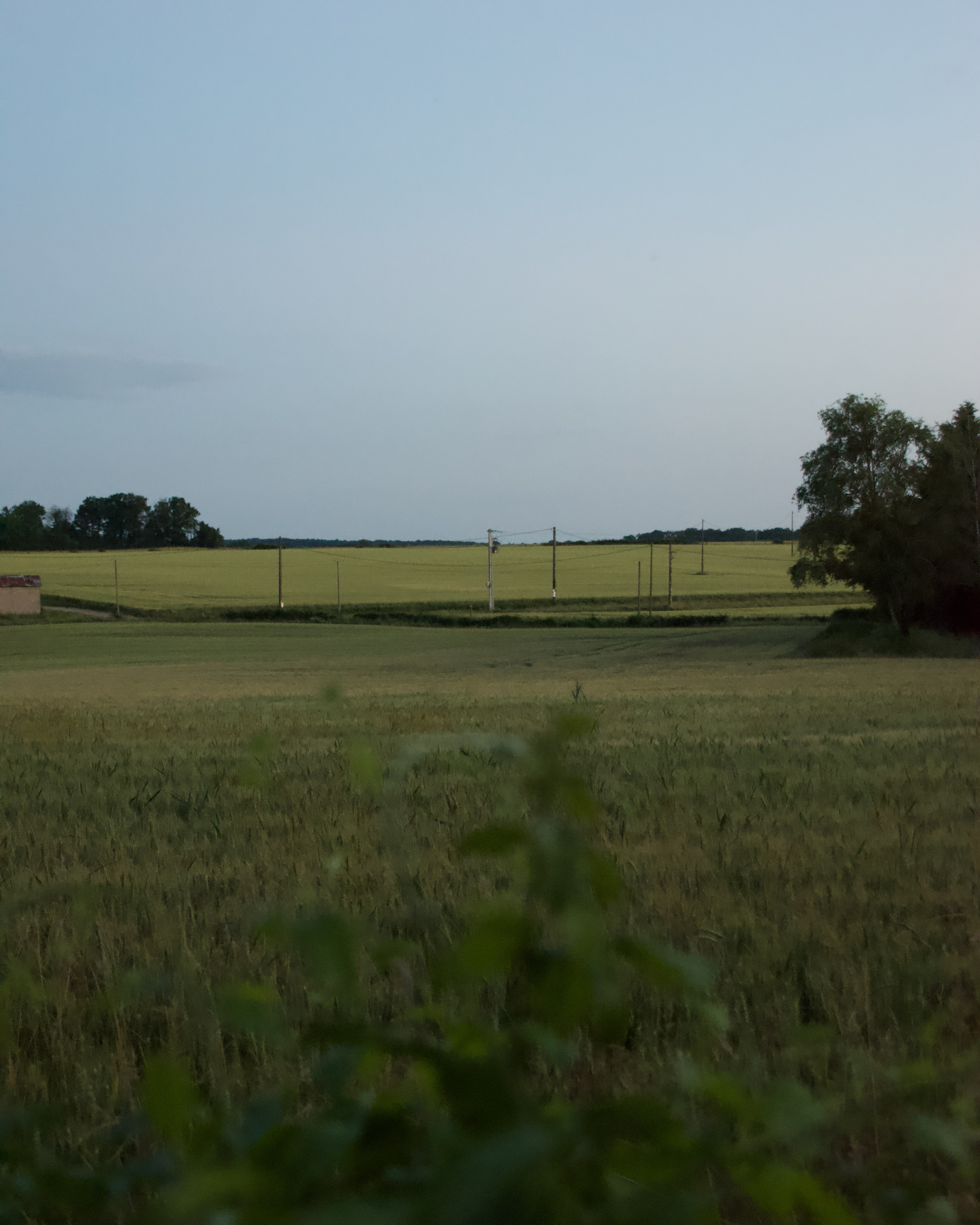 Paysage 3