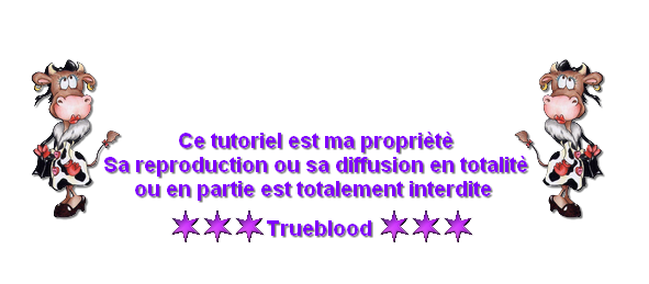 4. Tuto de Trueblood : Les Noctambules 5mvDY