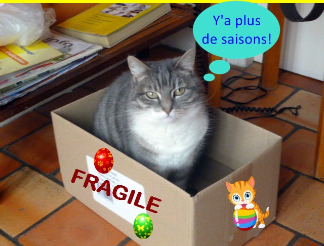 Hebergeur d'image