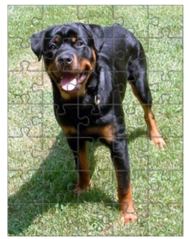 Jeux De Puzzles  - Page 9 6b7wii