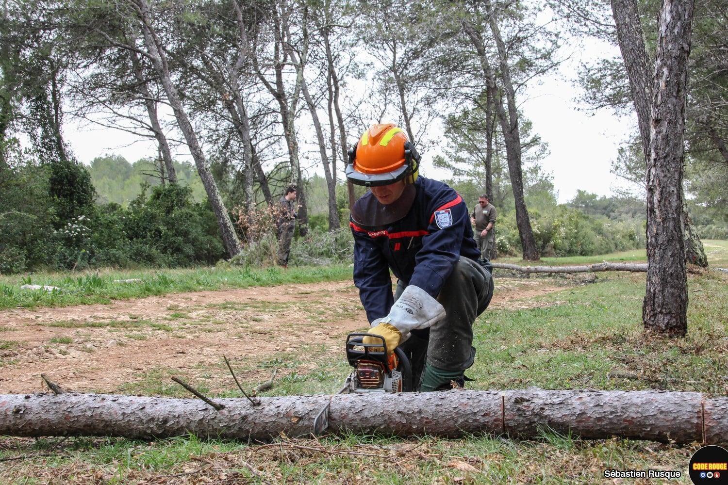 Un sapeur-pompier accroupi scie un tronc d'arbre