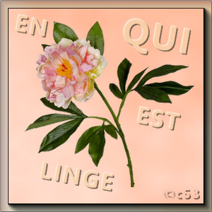 Qui est en ligne ?