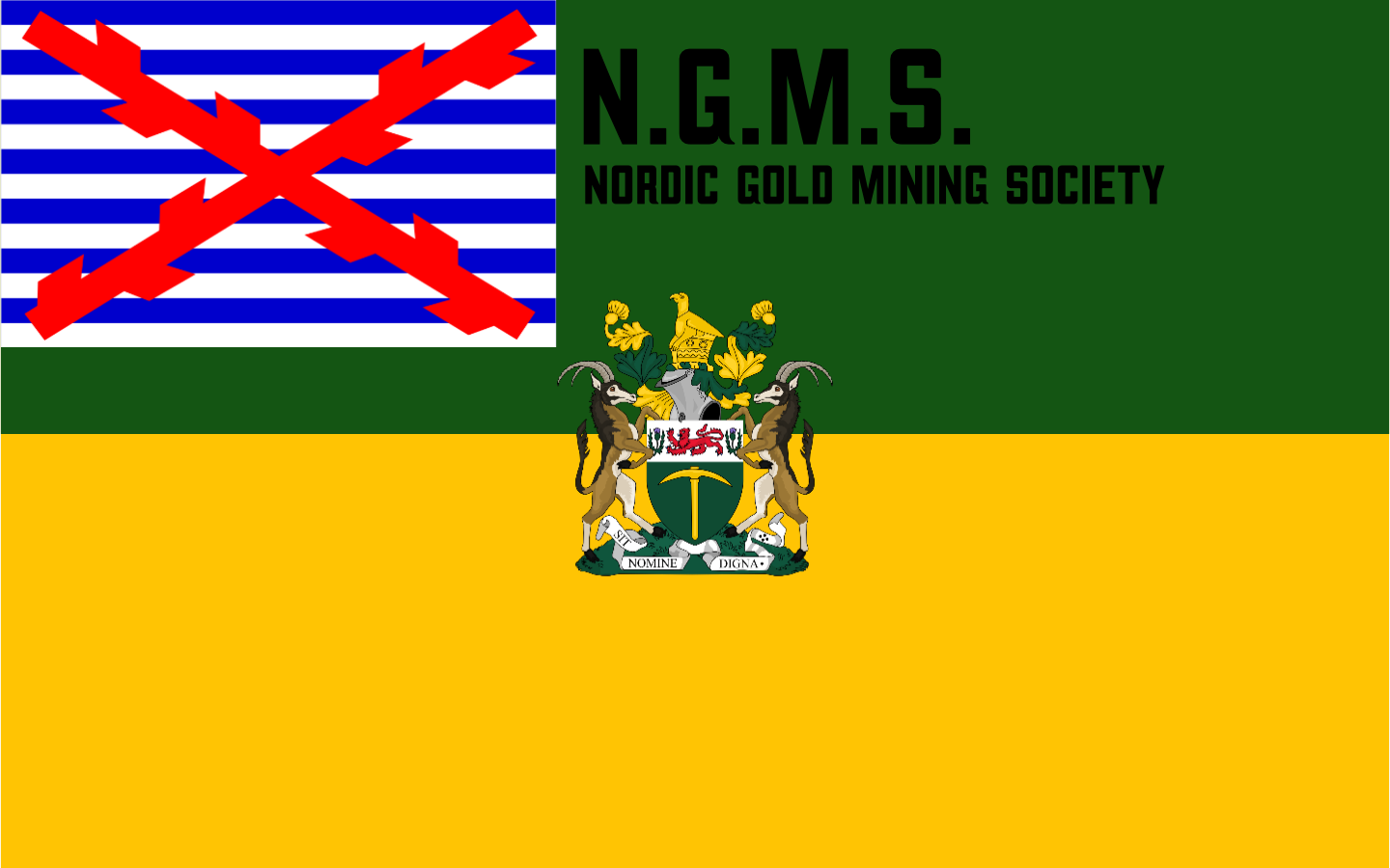 N.G.M.S. flag