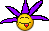 55,;:$po