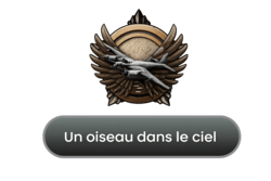 Un oiseau dans le ciel