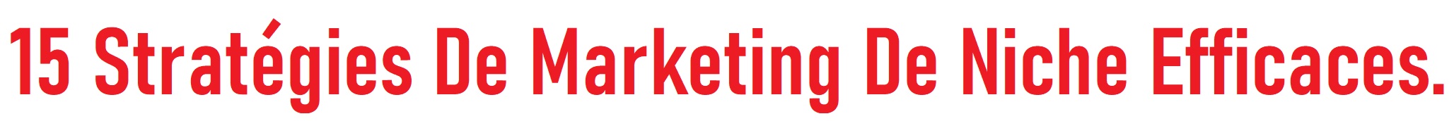 15 Stratégies De Marketing De Niche Efficaces.