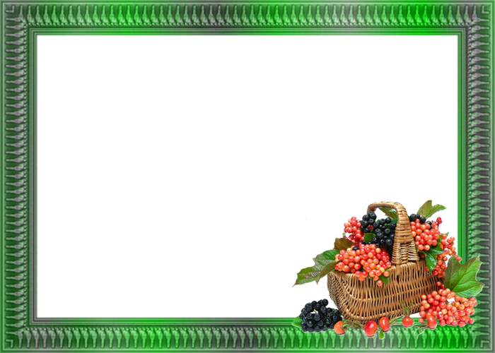 "Cadre décoré fruits" divers saison. 39vgny