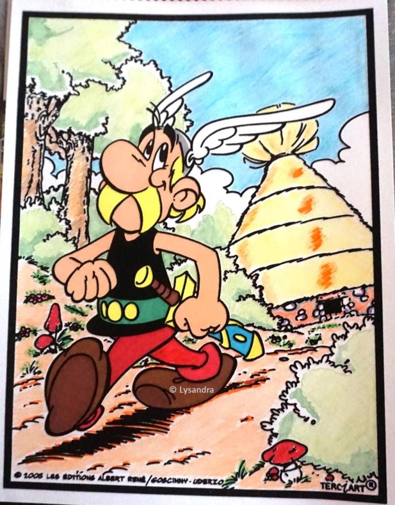 Astérix : ma collection, ma passion - Page 14 4dnGv