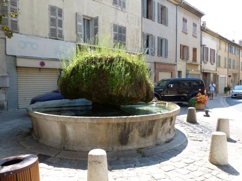 Figuier "Sans terre, sans eau" Fontaine du Village sècheresse 79aftg