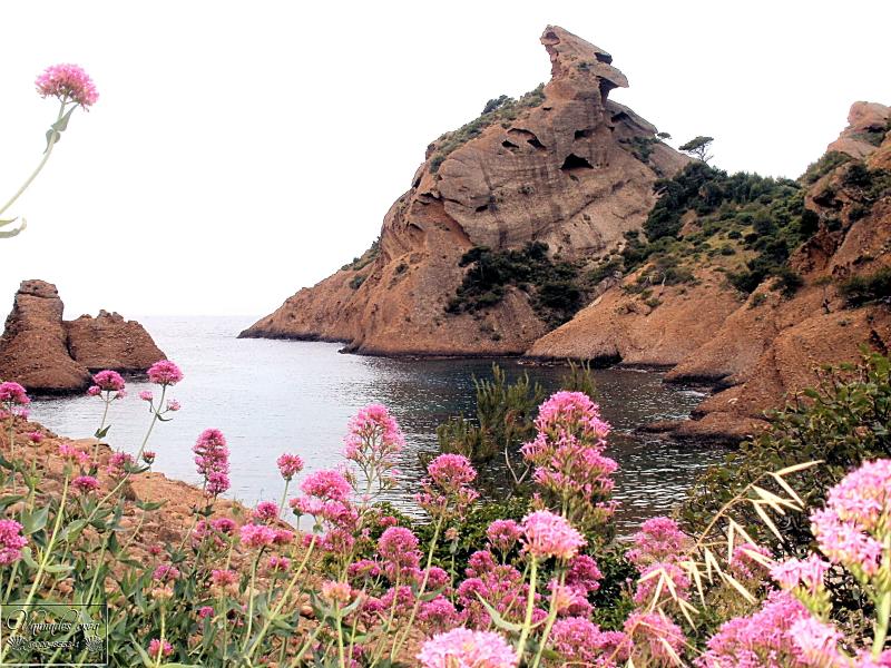 Calanque de Figuerolles (Un petit coin de Paradis)  Ej0l5