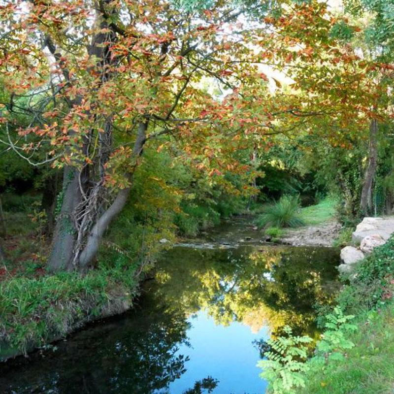 Promenade dans mon village  GRWVD