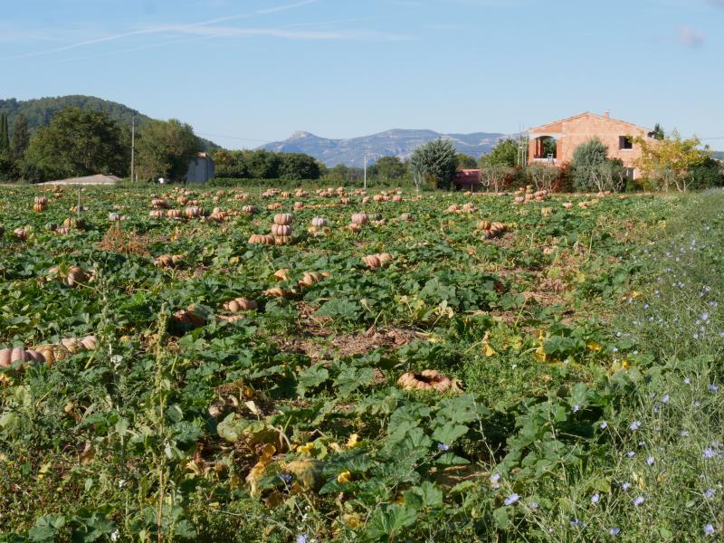 Promenade dans mon village  GRmlk