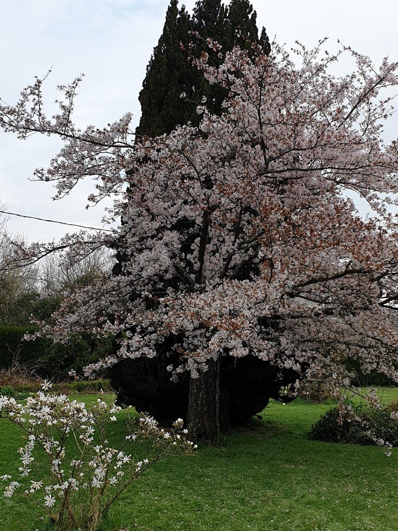 https://i.goopics.net/800/GwP23.jpg