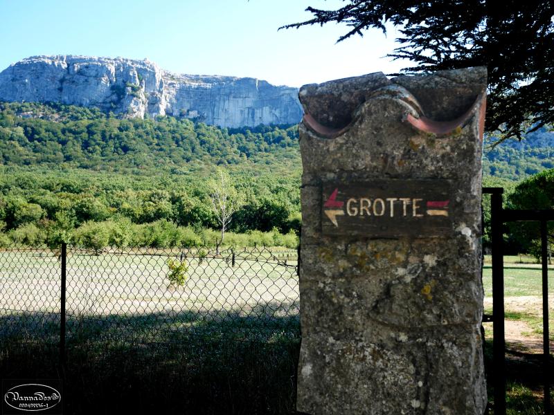 Massif de la Sainte Baume ce jour - Page 2 J3171