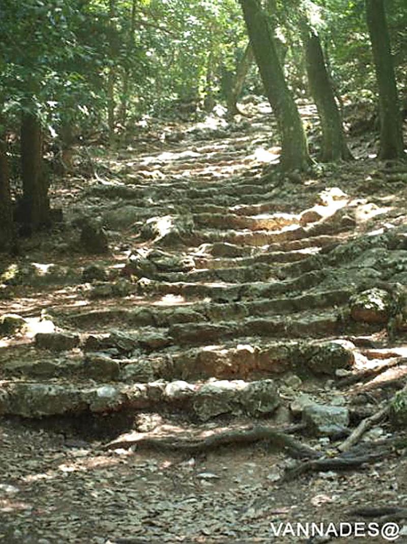 Massif de la Sainte Baume ce jour NeYGW