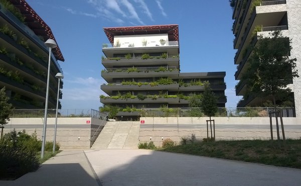 https://i.goopics.net/800/O1kZK.jpg