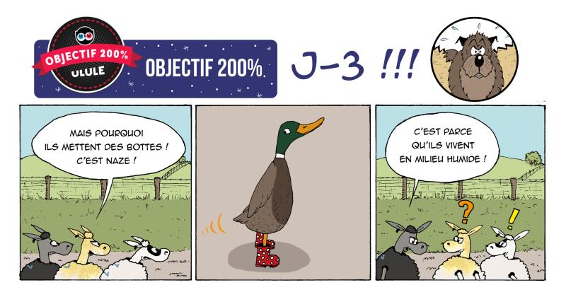 ccdinv.jpg