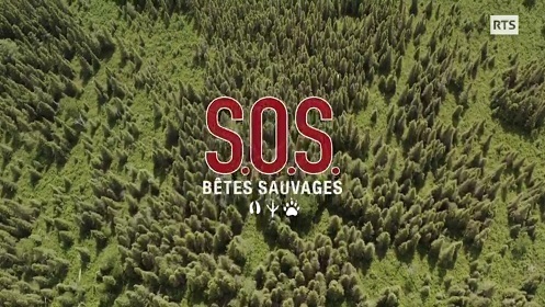 jtxje8.jpg
