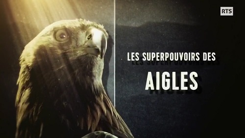 mfbn8e.jpg