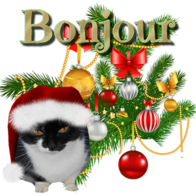 Bnjour/bonsoir de décembre 2022 T3go78