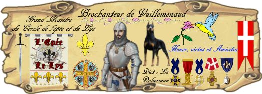 Droits et devoirs de la noblesse du Royaume de France VGmbZ