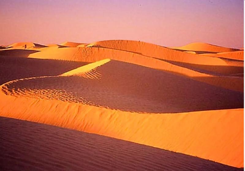 Оазис дей. Sahara. Red Dunes.