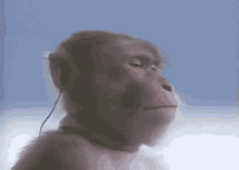 https://i.goopics.net/800/y2cxqr.gif