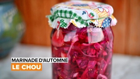 Marinade de chou