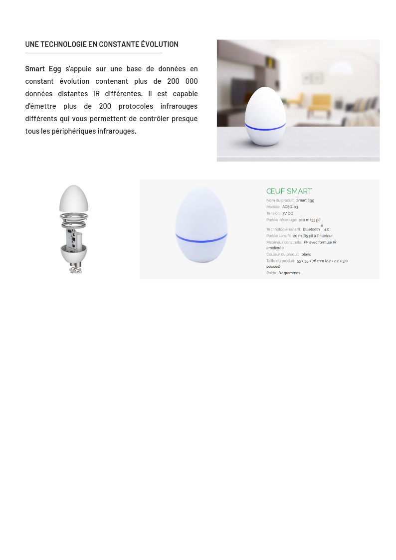 smartegg