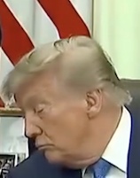 https://i.goopics.net/92ec89.png