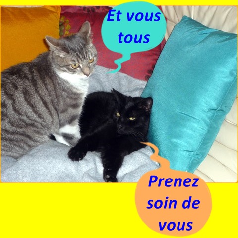 Hebergeur d'image