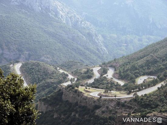 Que pensez vous voir sur cette photo ??? 94km3