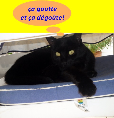 Hebergeur d'image