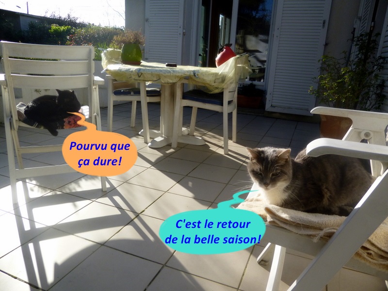 Hebergeur d'image