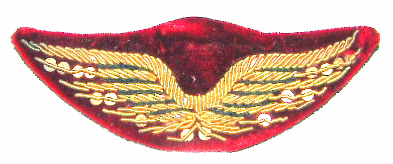 Insigne de casquette armée de l'air 9RNy1