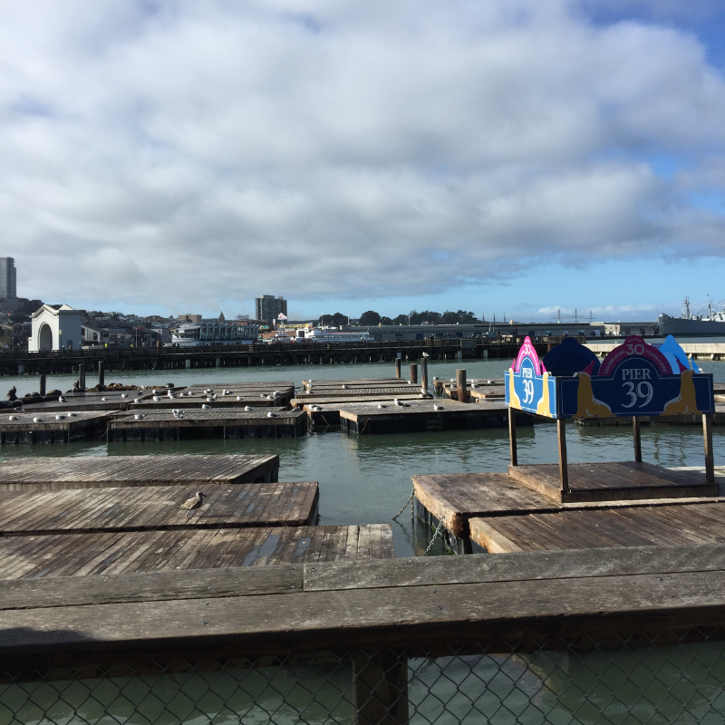 Pier39