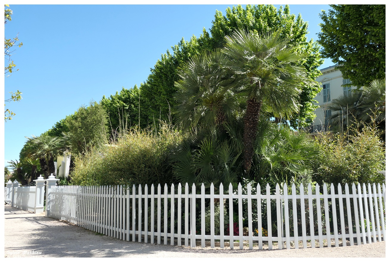 Festival des Jardins de la Côte d’Azur – Globe Trotteuse
